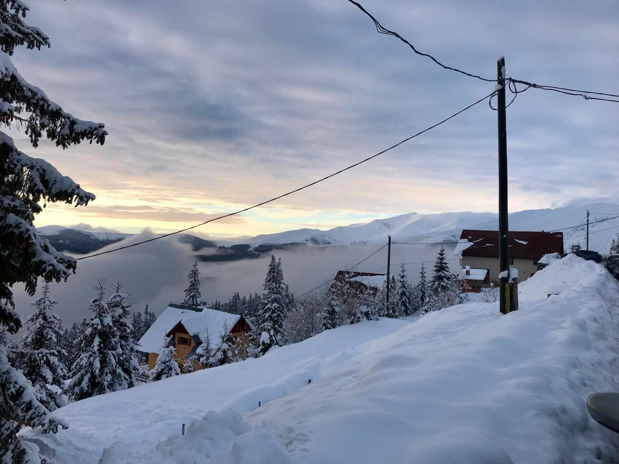 Casa De Vacanta Trei Brazi Rânca Kültér fotó