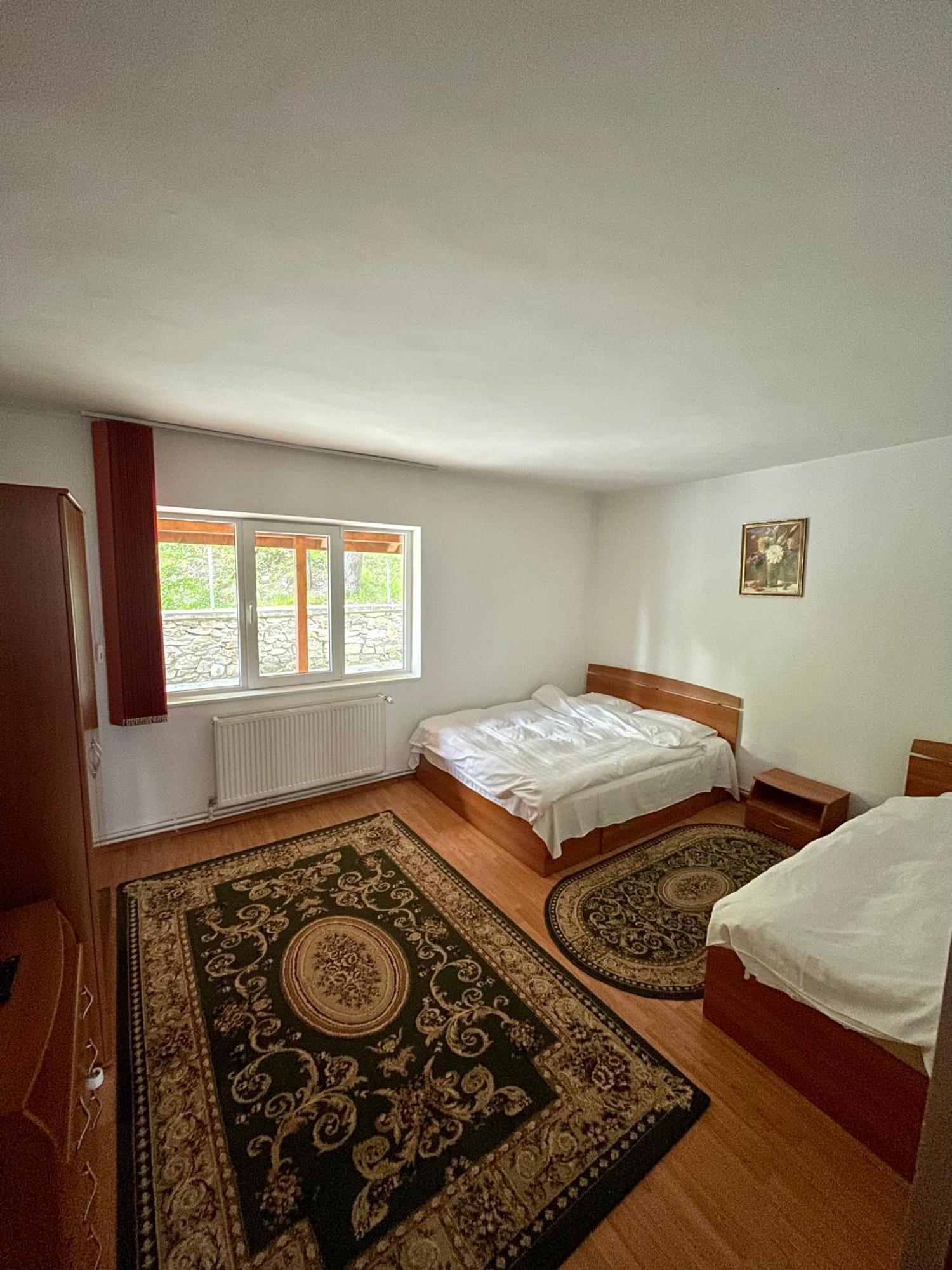 Casa De Vacanta Trei Brazi Rânca Kültér fotó